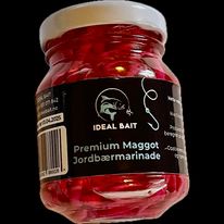 Premium Maggot i jordbærmarinade