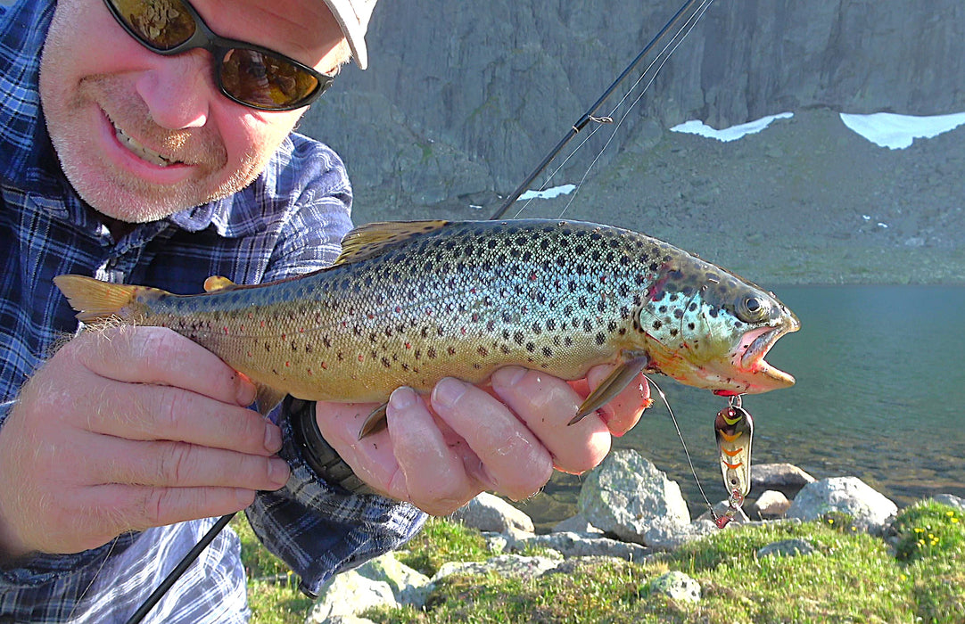 Trigger Spoon svart/sølv m/tigerstriper