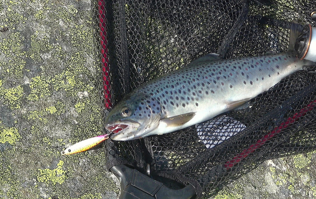 FishKing Trigger Prey ørretserie oransje/gul/rosa, 12 og 18 gram. Nyhet 2026!