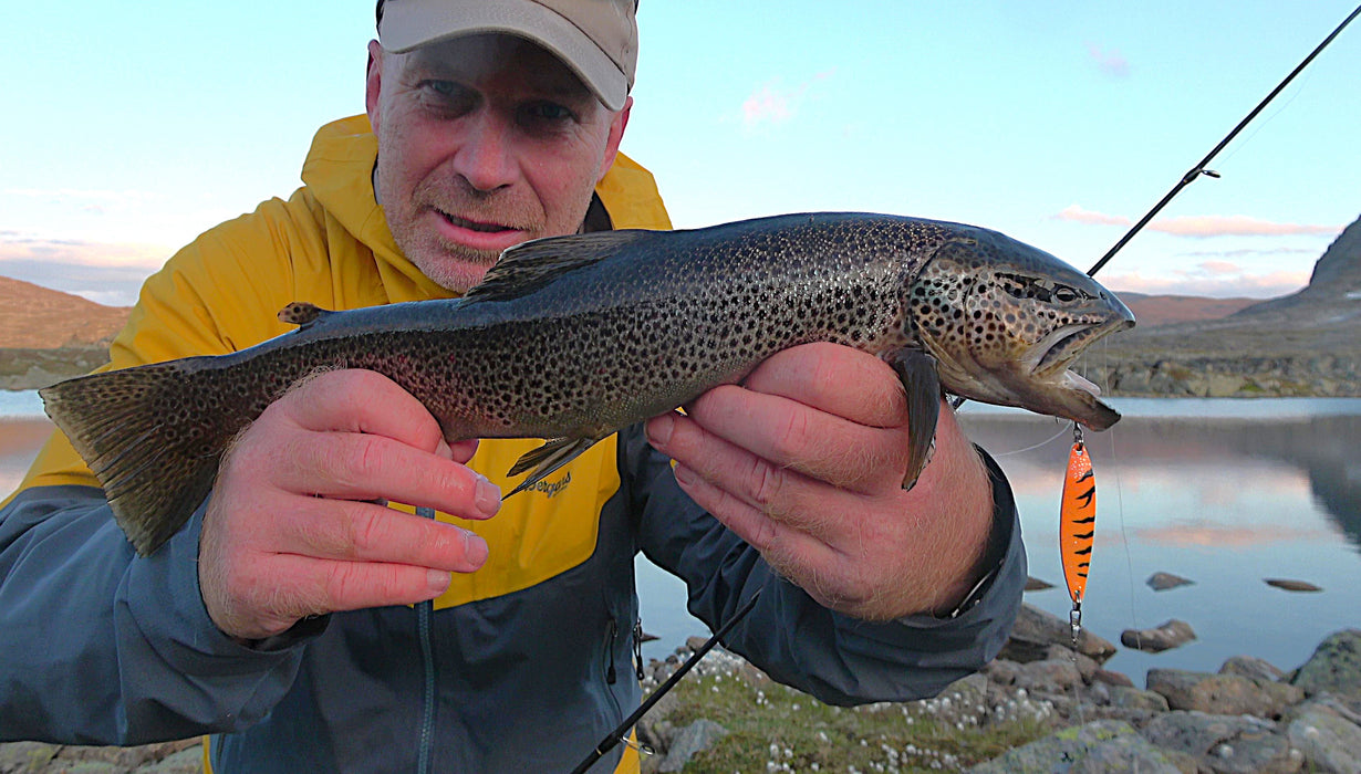 Trigger Hybrid oransje/svarte tigerstriper m/glitter