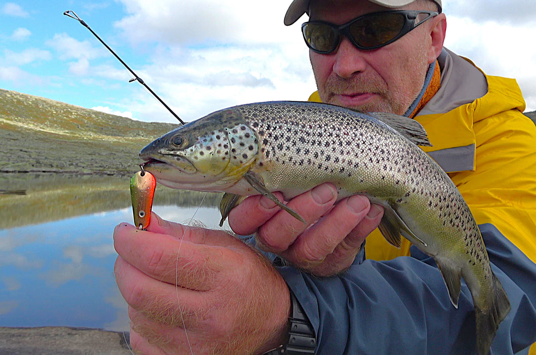 FishKing Trigger Spoon grønn/kobber/oransje m/glitter, 8 og 13 gram