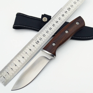 Buck tur- og fiskekniv med 10 cm knivblad og trehåndtak